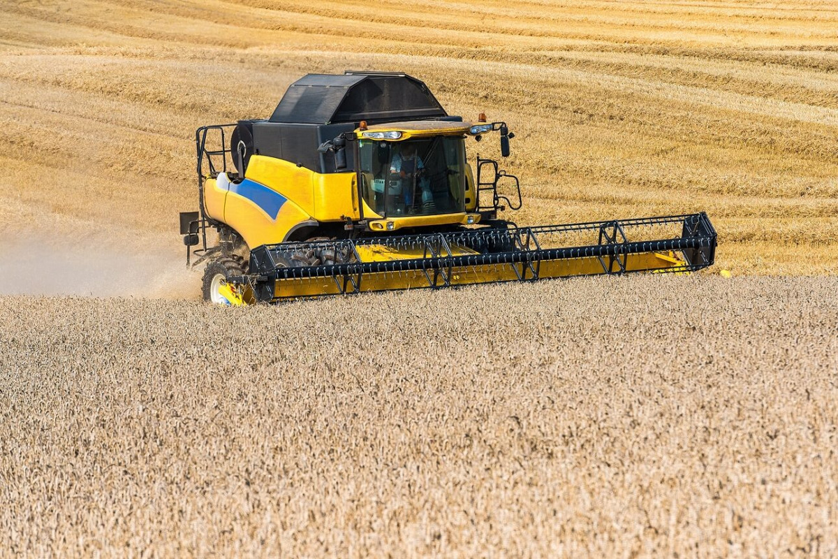 Agriculture